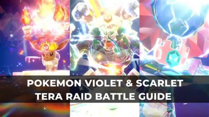 A Tera Raid battle