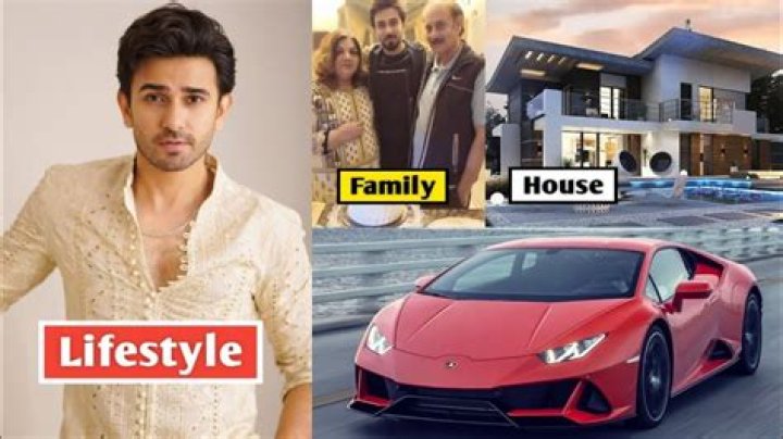 Ali Ansari Net Worth 2024