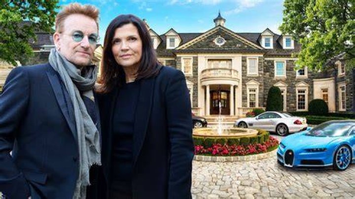 Ali Hewson Net Worth