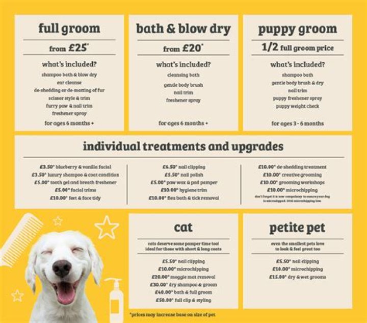 average cost of grooming services