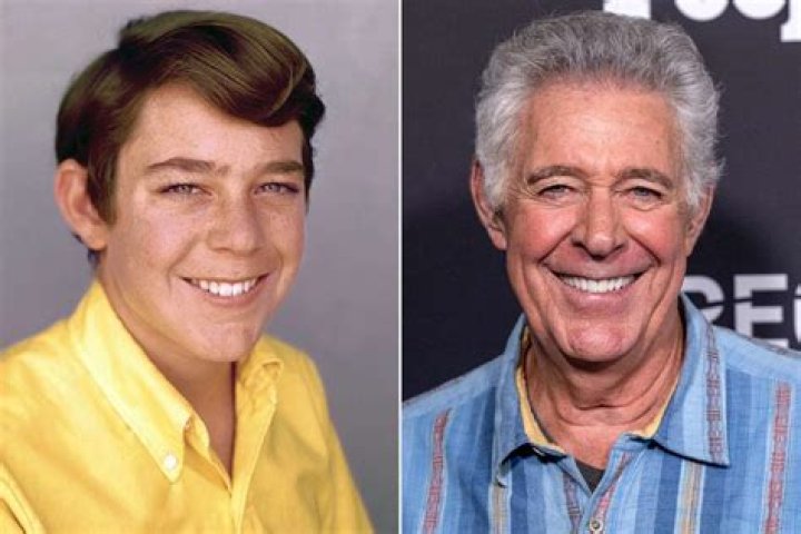 barry williams acting career