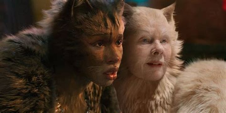 cats cgi