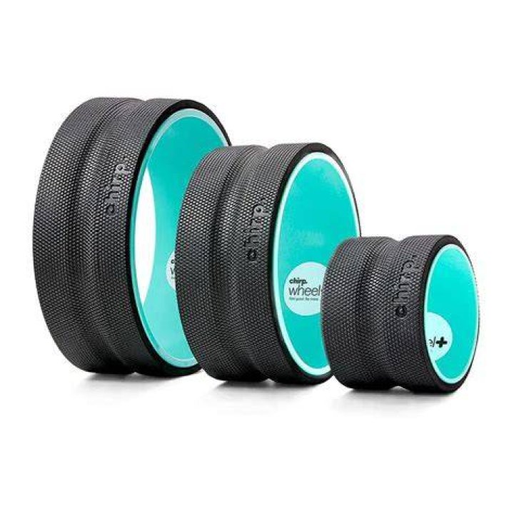 Chirp Wheel success