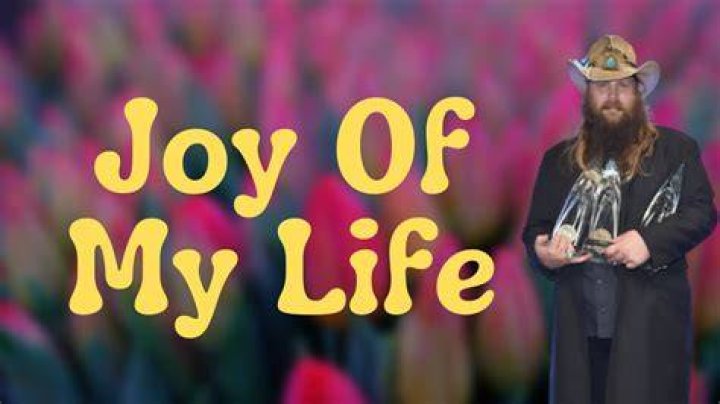 Chris Stapleton - Joy Of My Life (Official Audio) - Songs written by chris Stapleton