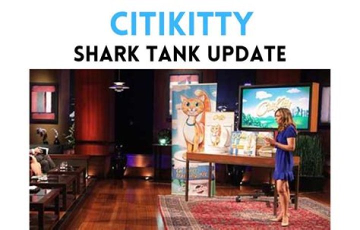 CitiKitty future plans