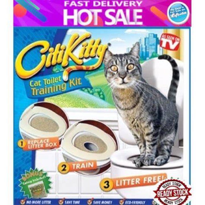 CitiKitty product expansion