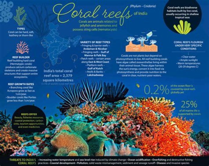Coral Sharon - Additional Facts Coral Sharon - Additional Facts