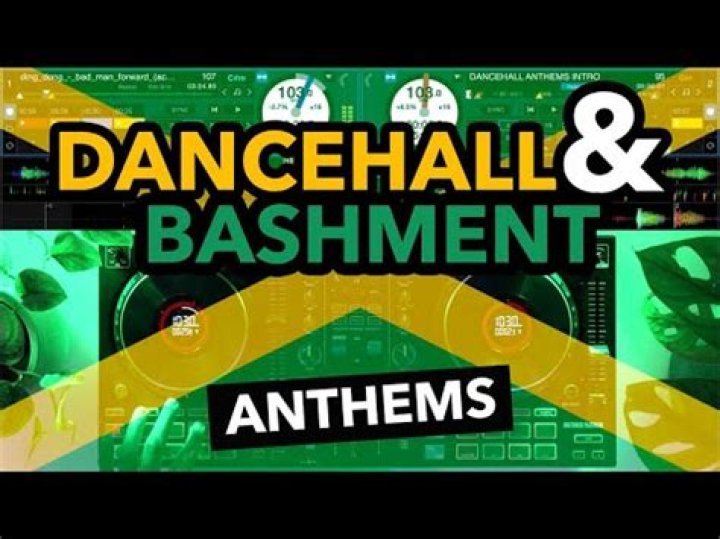Dancehall & Bashment DJ Mix - Vybz Kartel, Stefflon Don, Mr Vegas, Beenie Man & more - top dancehall party songs