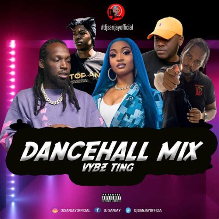 Dancehall Mix May 2021 | DJ Treasure - MEGA HITS (Party Dancehall Mix 2021) 18764807131 - top dancehall party songs