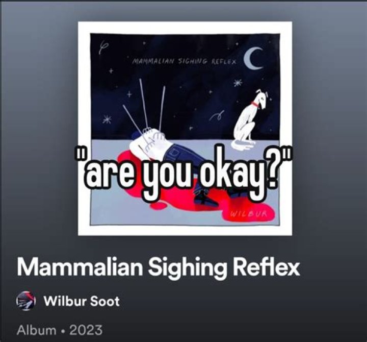 Definitely not all Wilbur Soot songs (Including Are you alright?) 🔥 - artist like wilbur soot