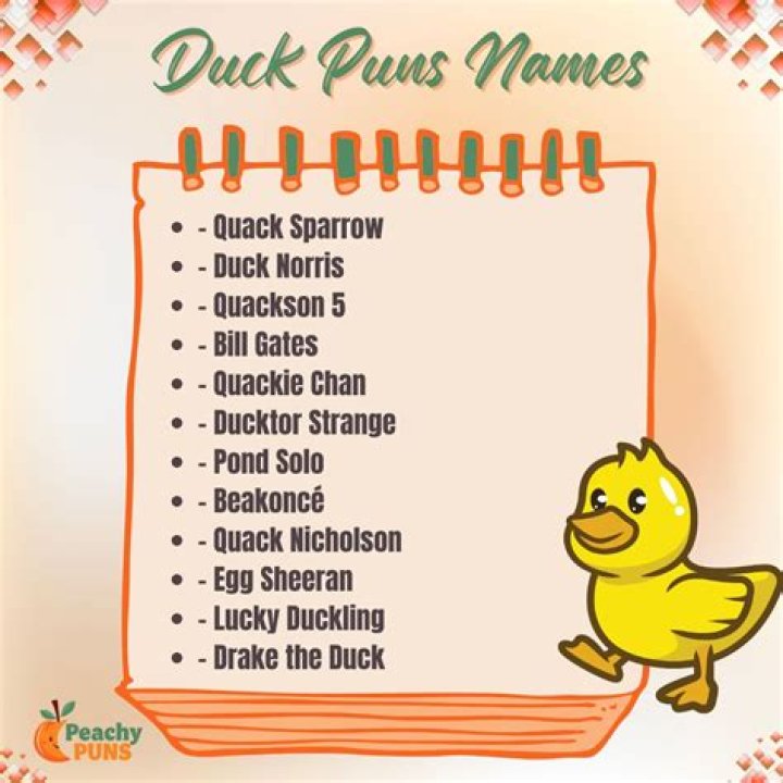 Duck pun names