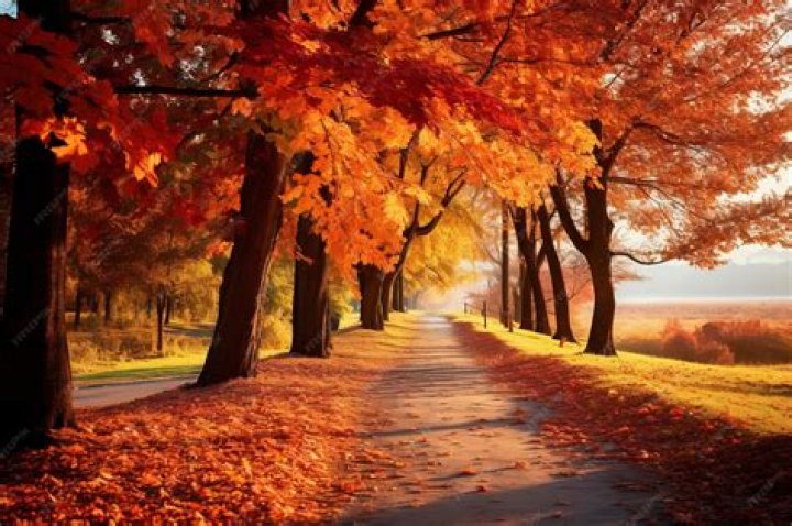 Fall