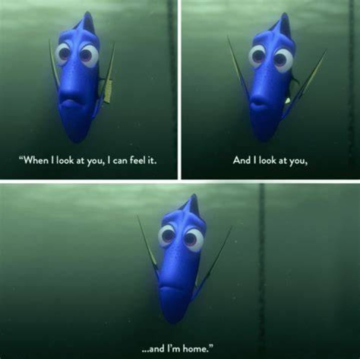 Finding Nemo quotes