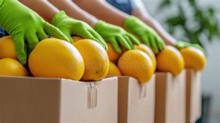 Fresh lemons in boxes and jugs with homemade lemonade on wooden stall