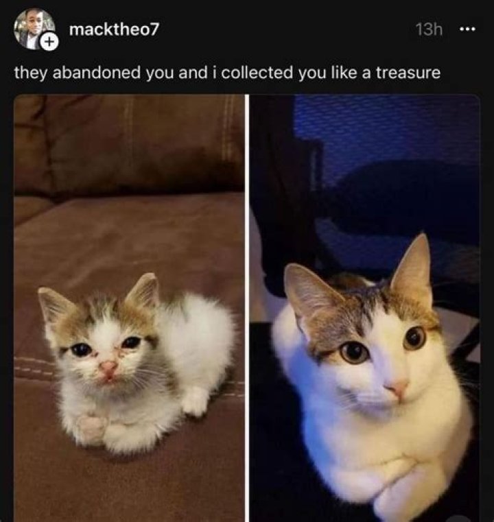 funny meme collected for you