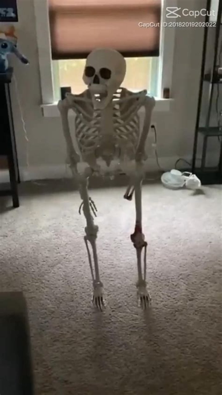 Funny skeleton memes