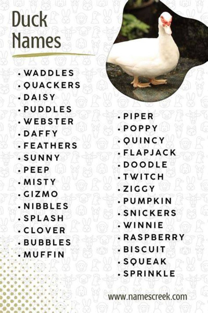 Good duck names