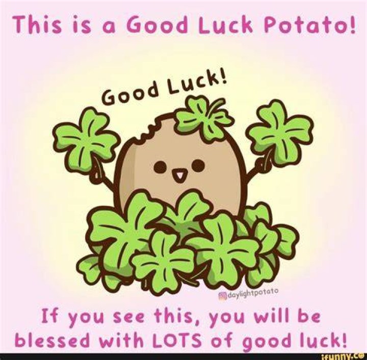 Good luck memes