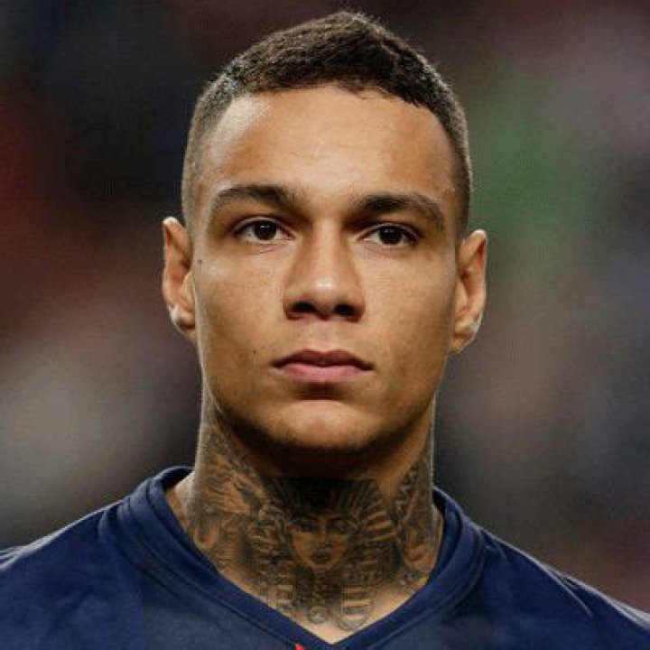 Gregory van der Wiel Net Worth