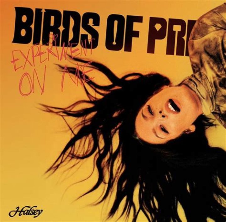 Halsey - Experiment On Me (from Birds of Prey: The Album) [Official Lyric Video] - heavy metal songs roblox id