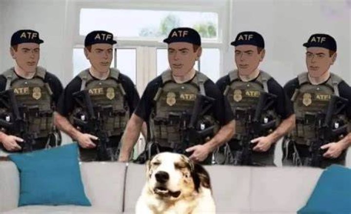 Hilarious ATF memes on the internet