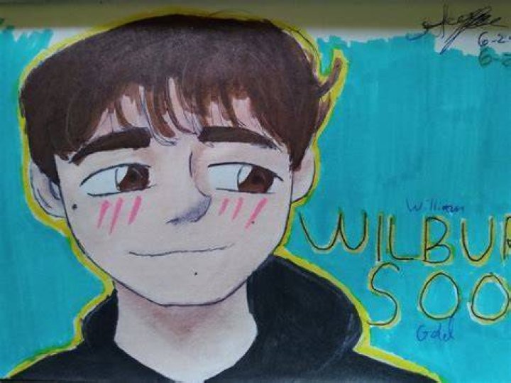I Made Wilbur Soot a Music Video... - how to write music like wilbur soot