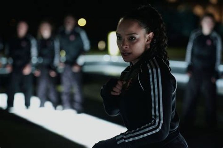 Is Sisi Stringer a martial artist?