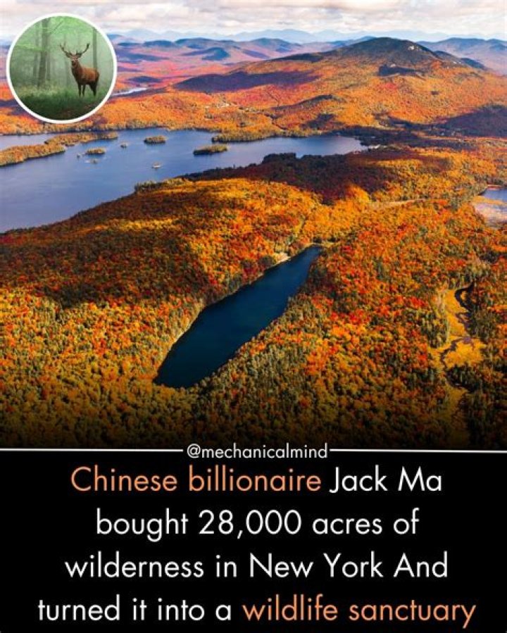 Jack Lambert wildlife conservation