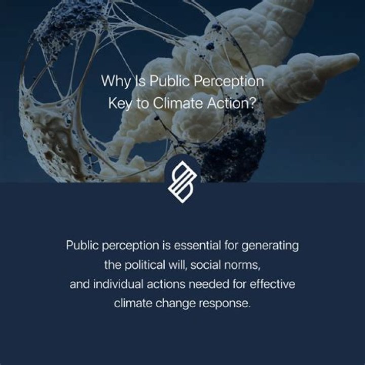 john arnold public perception