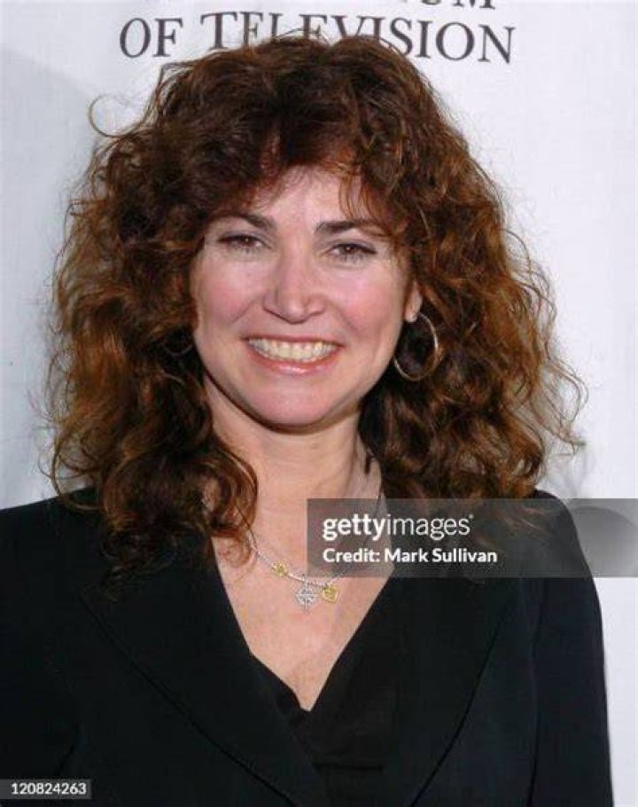 Kim Delaney Television Success