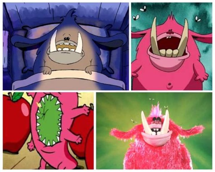 Kiwi from Chowder