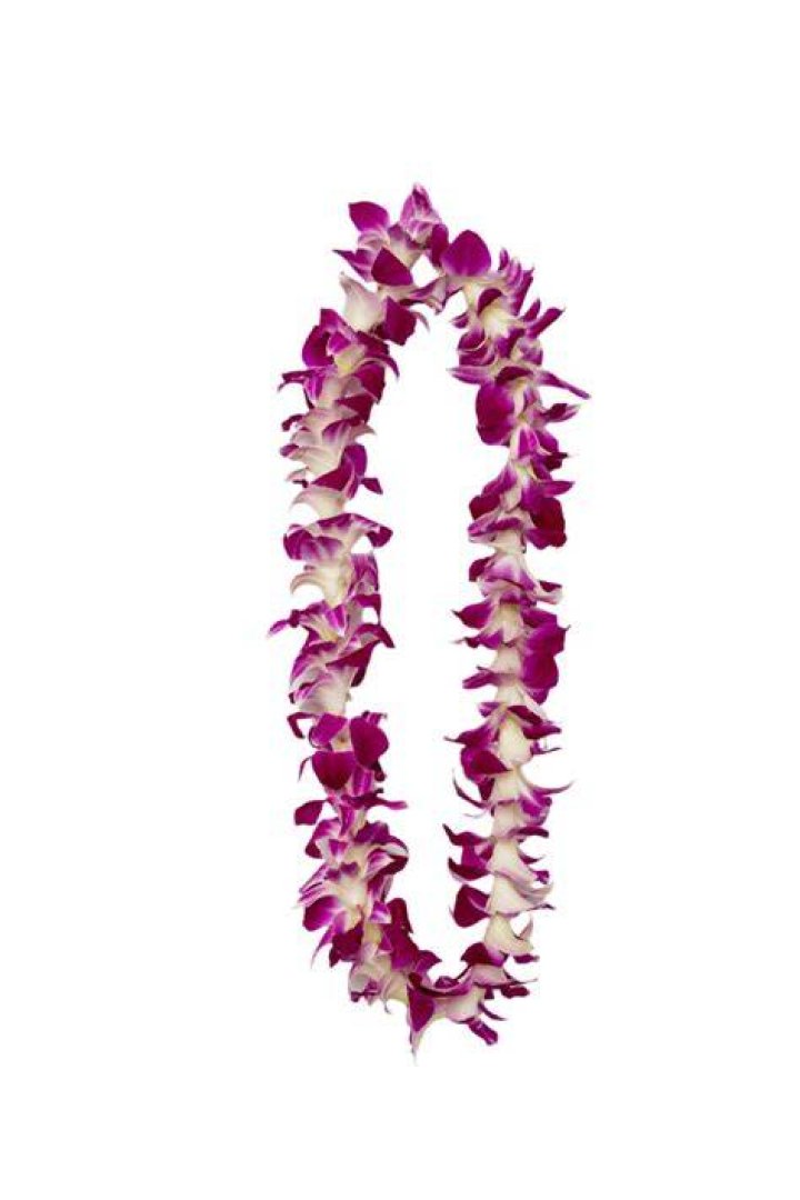 Lei V Bare Lei