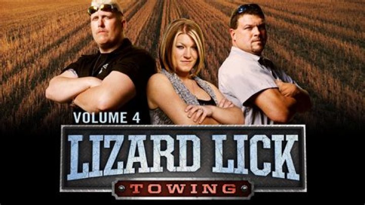 Lizard Lick Towing image