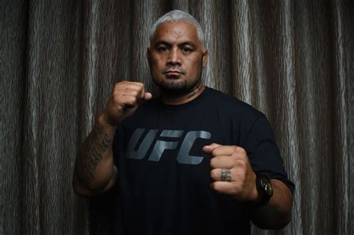 Mark Hunt Net Worth