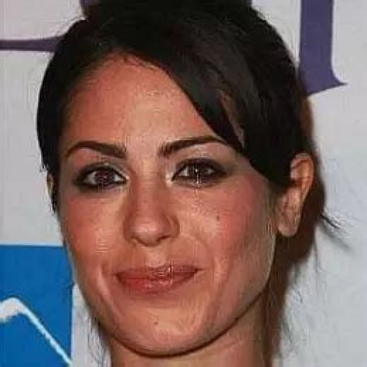 Michelle Borth Net Worth