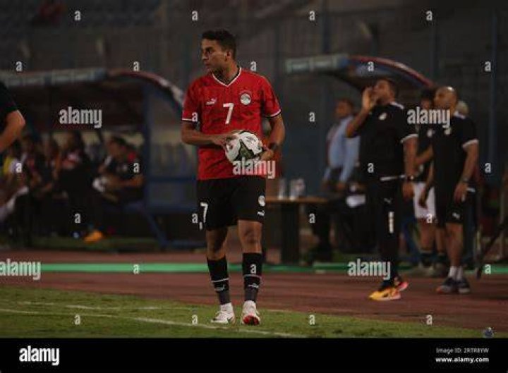 Mohamed Hamdy Sharaf