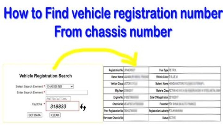Motor Vehicle Registration Search