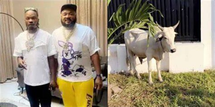 Naira Marley sends sallah cow to Sam Larry. Naira Marley sends sallah cow to Sam Larry.