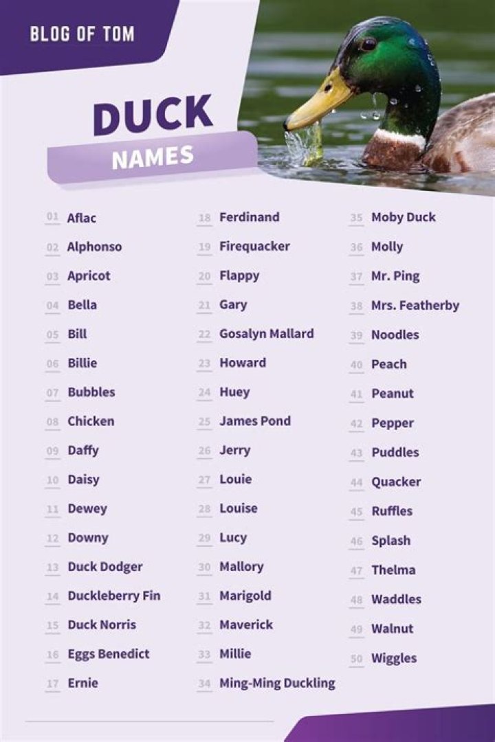 Names for ducks