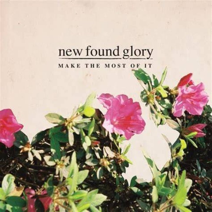 New Found Glory Net Worth - How Much Does New Found Glory Make?