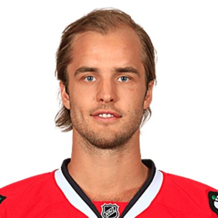 niklas hjalmarsson net worth