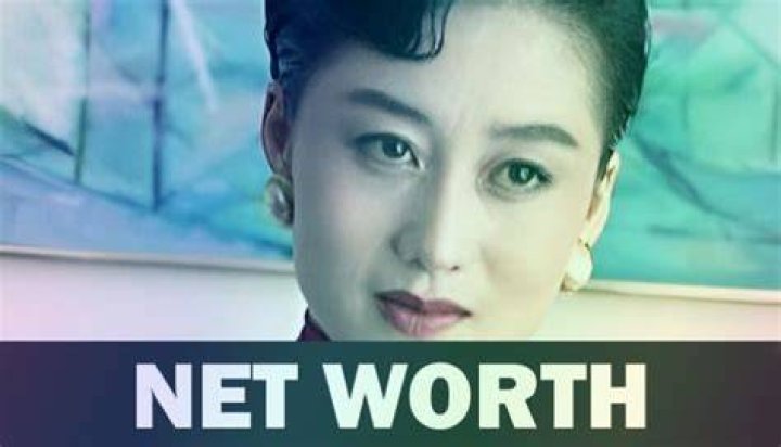 Nina Li Chi Net Worth