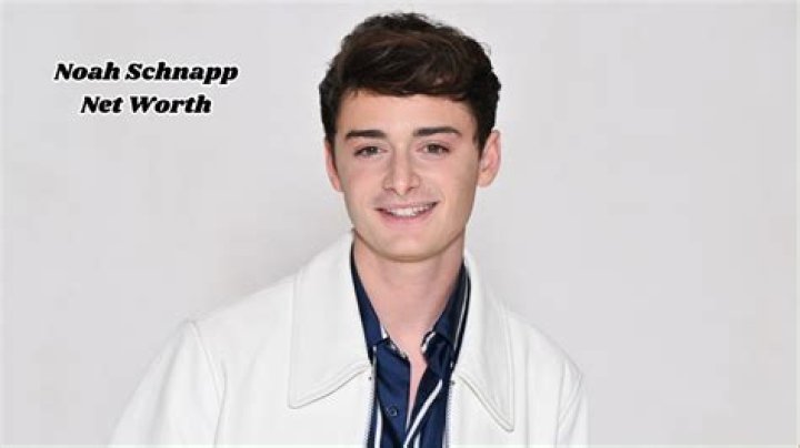 Noah Payne Net Worth