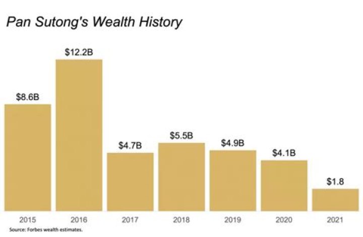 pan sutong investments pan sutong investments