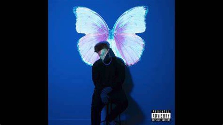 Phora from USA | Popnable