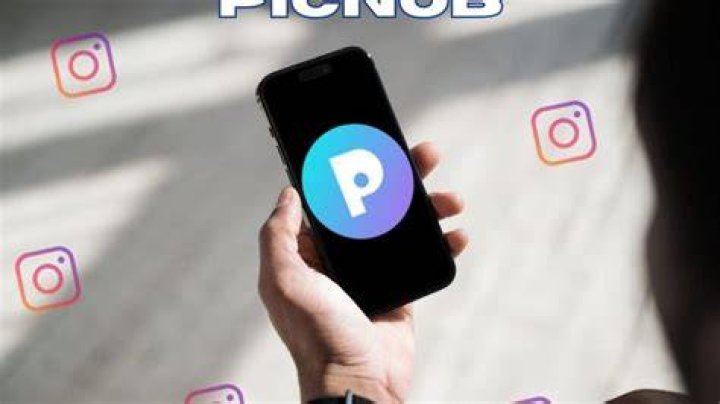 Picnob Instagram viewer tool