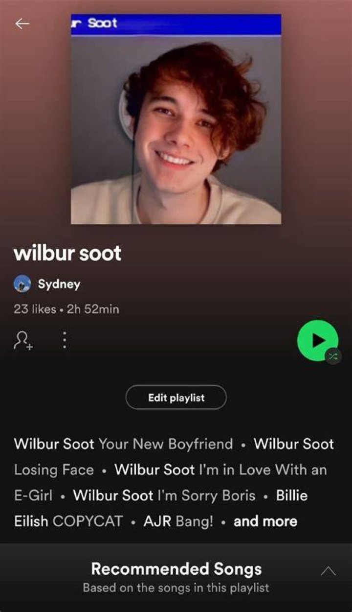 playlist for wilbur soot kinnies to listen while lmanburg is burning down - how to write music like wilbur soot