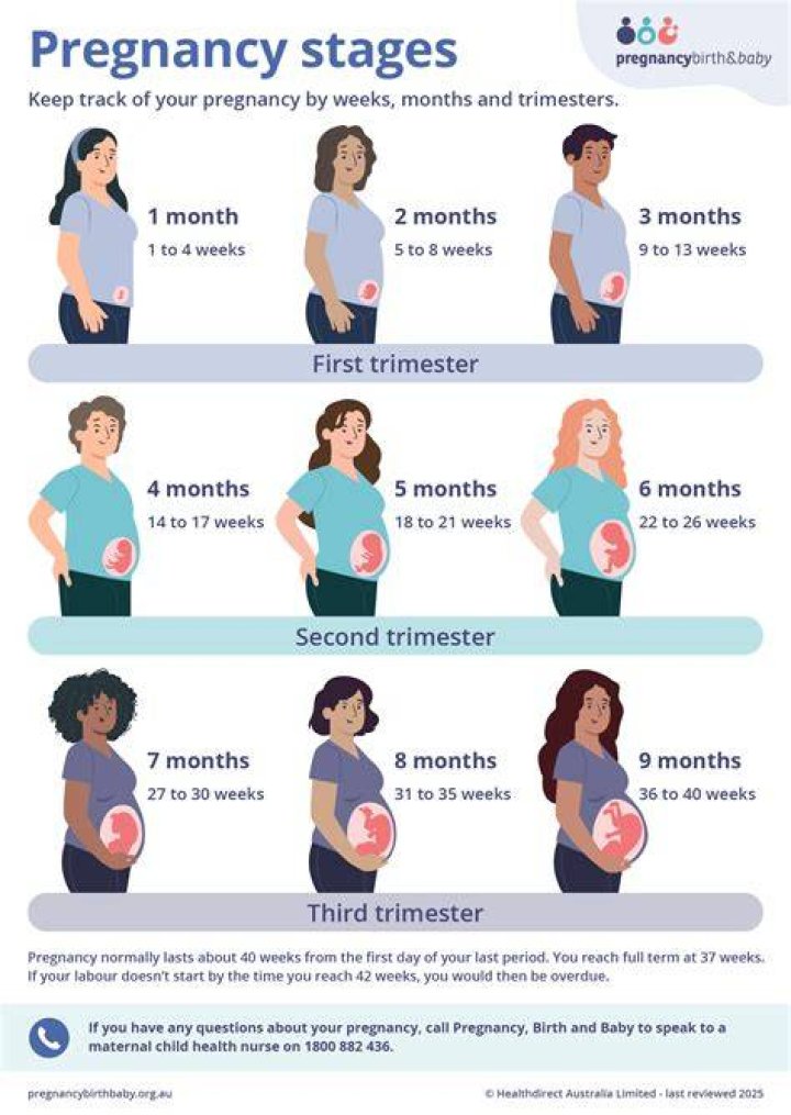 pregnancy