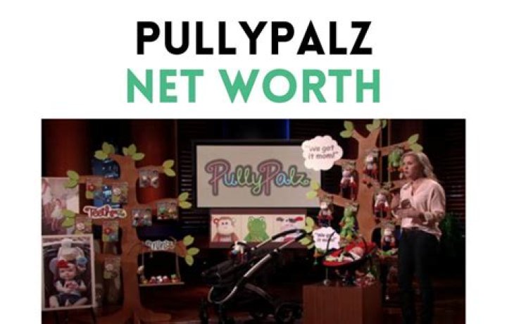 PullyPalz Current Status PullyPalz Current Status