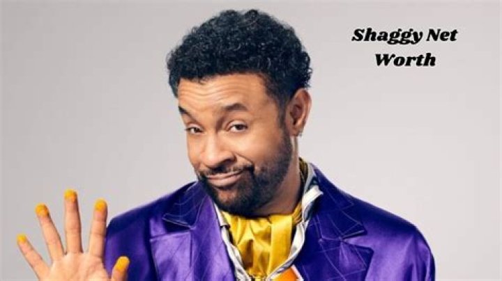 Shaggy Net Worth